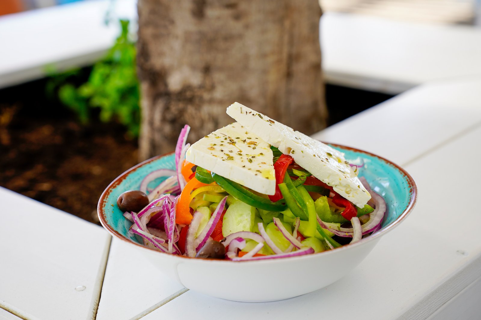 Akrogiali fresh salad