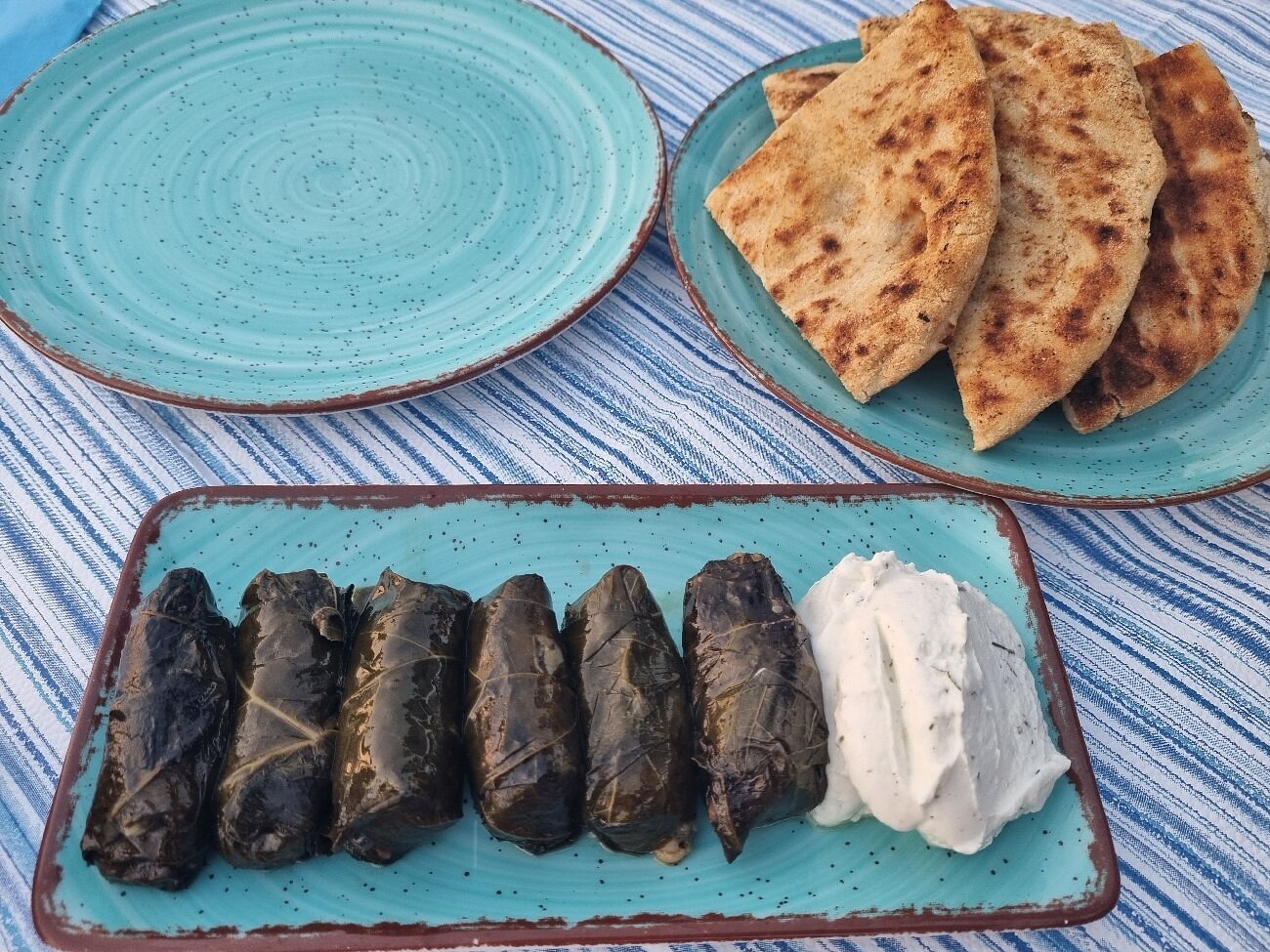 Stuffed vine leaves with rice served as a vegetarian dish